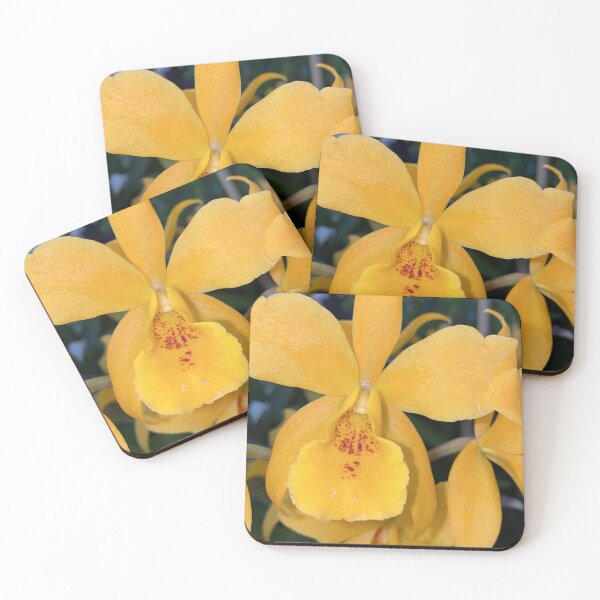 Item preview, Orquids Series designed and sold by Dayaday Photography and Design.