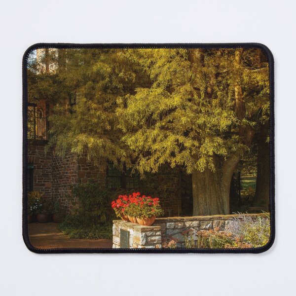 Item preview, Afternoon in the Courtyard designed and sold by John Rivera.