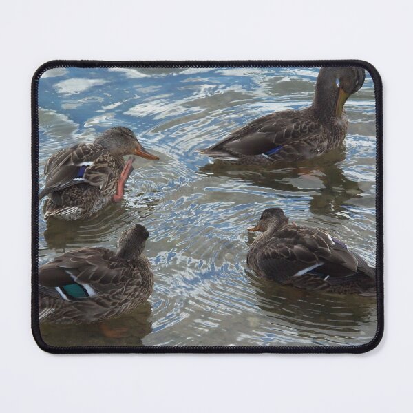 Item preview, 4 Mallards designed and sold by FastRapidash.