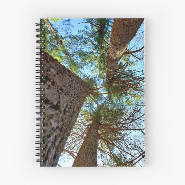Item preview, Looking Up designed and sold by CapeCodGiftShop.
