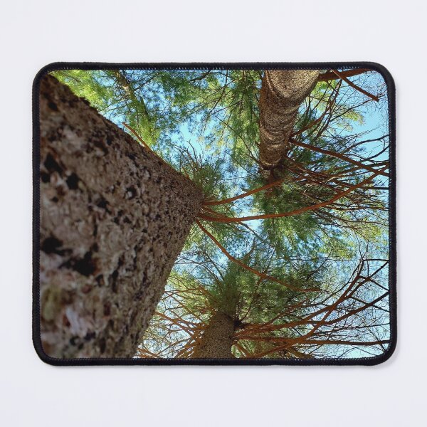 Item preview, Looking Up designed and sold by CapeCodGiftShop.
