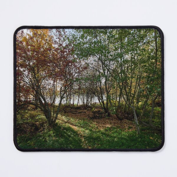 Item preview, Rowans turning red designed and sold by Jouko Lehto Photography.
