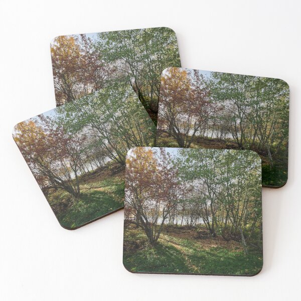 Item preview, Rowans turning red designed and sold by Jouko Lehto Photography.