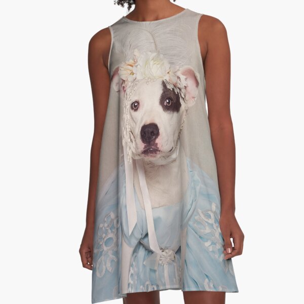 Shelter Pets Project - Rascal 2 A-Line Dress