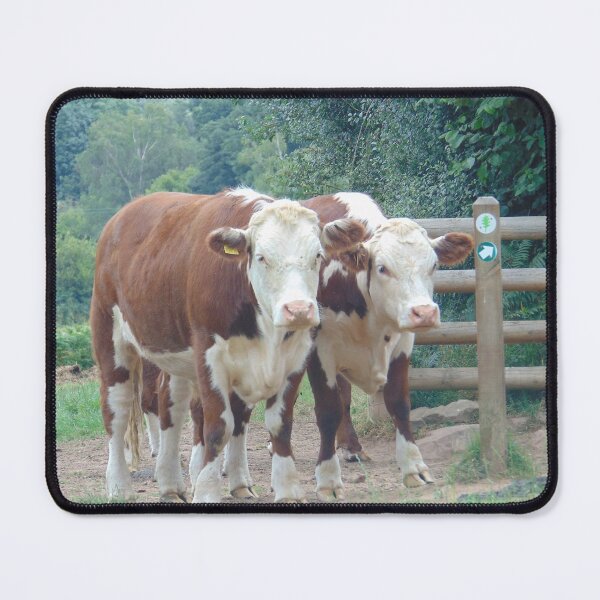 Item preview, Herefords on Nature Reserve designed and sold by FastRapidash.