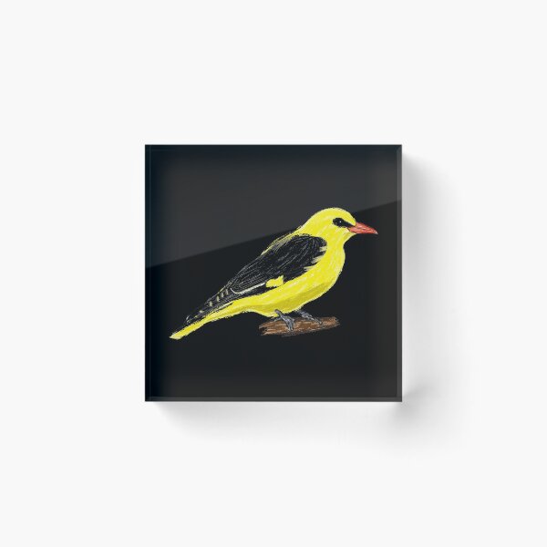 Item preview, Nice Artwork showing a Golden Oriole I designed and sold by JD's Shop.