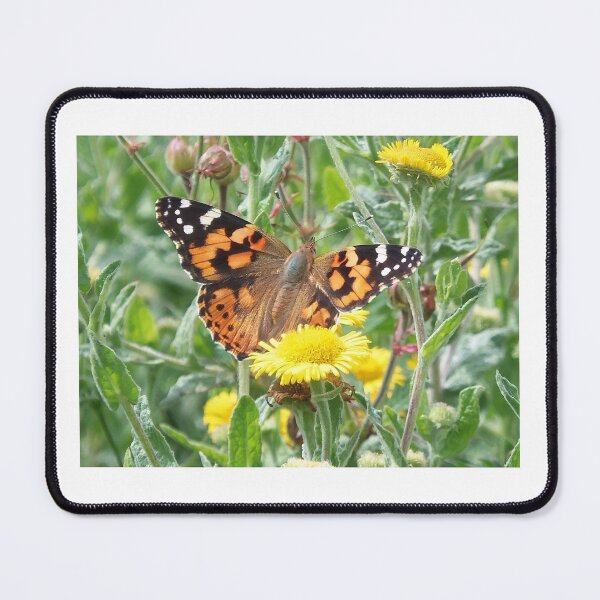 Item preview, Painted Lady Butterfly (Vanessa cardui) designed and sold by FastRapidash.