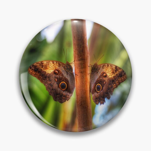 Item preview, Dusky Giant Owl Butterflies  designed and sold by Paul Thompson Photography.