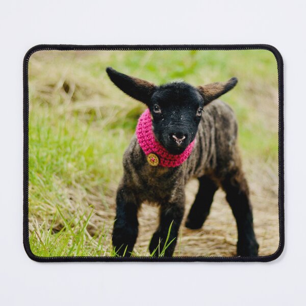 Item preview, Juliet the Pet Lamb designed and sold by thegreendogs.