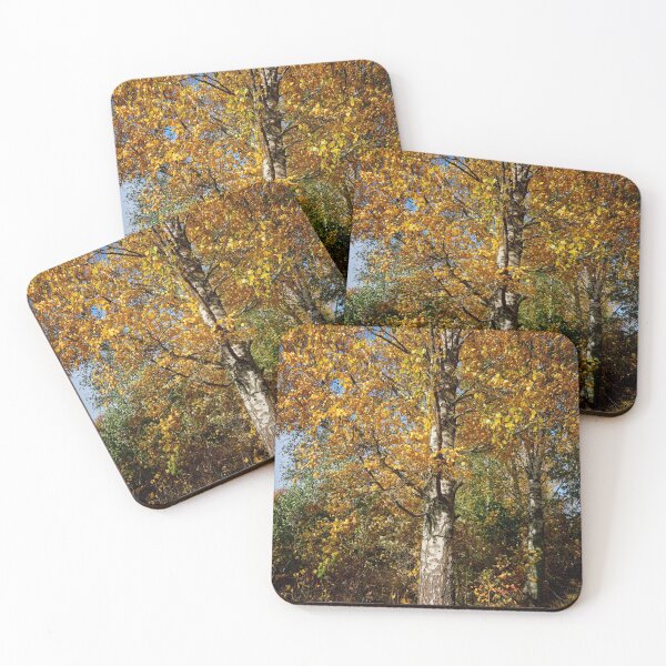 Item preview, The old yellow birch designed and sold by Jouko Lehto Photography.