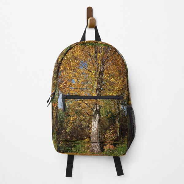 Item preview, The old yellow birch designed and sold by Jouko Lehto Photography.