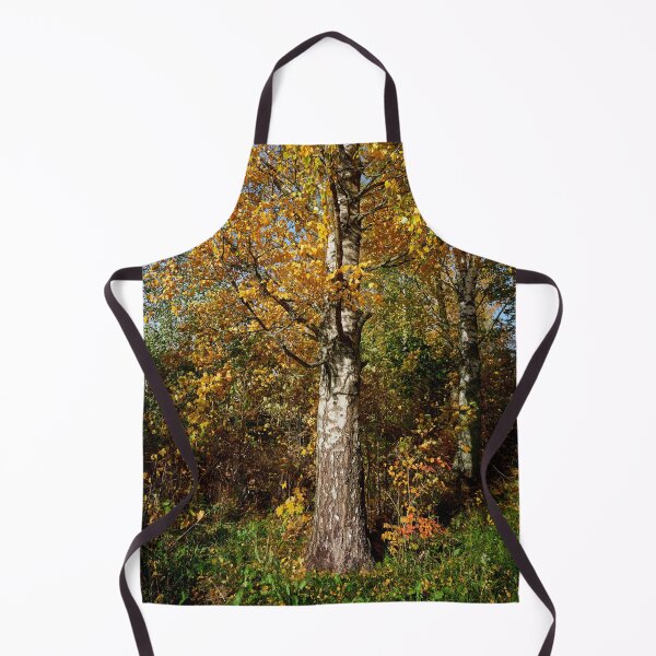 Item preview, The old yellow birch designed and sold by Jouko Lehto Photography.