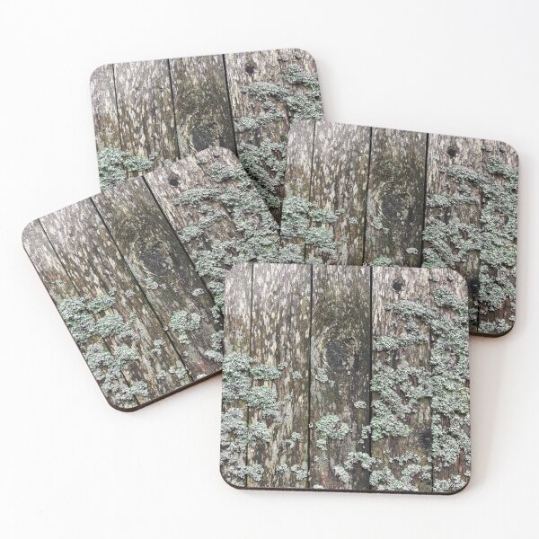 Item preview, Lichen on a wooden wall designed and sold by Jürgen Wiesler.