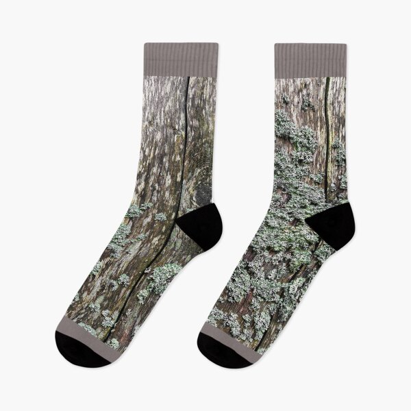 Item preview, Lichen on a wooden wall designed and sold by Jürgen Wiesler.