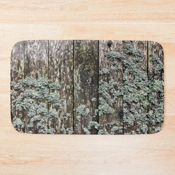 Item preview, Lichen on a wooden wall designed and sold by Jürgen Wiesler.