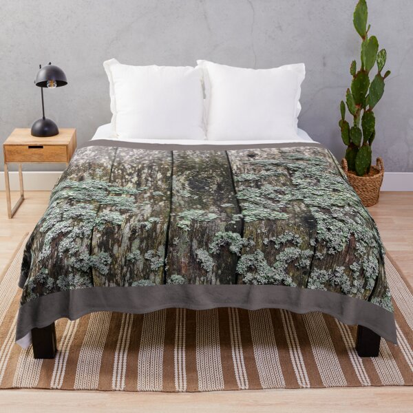 Item preview, Lichen on a wooden wall designed and sold by Jürgen Wiesler.