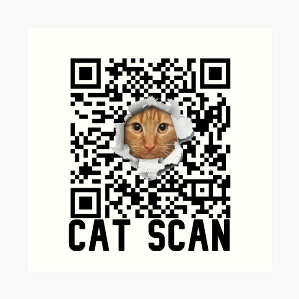 "Cat Scan Qr Code Generator Qr Code Generator Qr Code Generator Qr Code