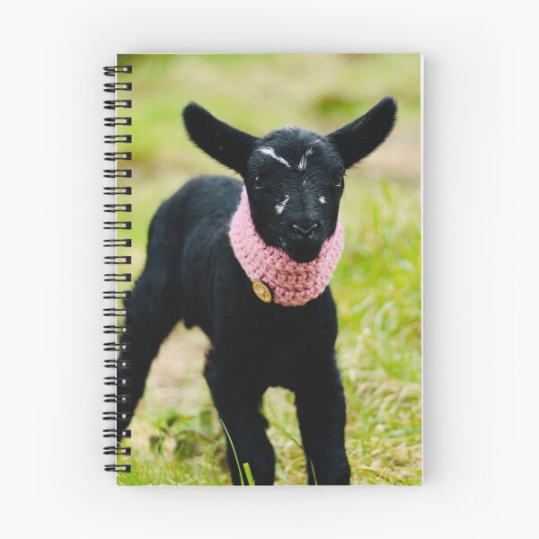 Item preview, Bea the Pet Lamb designed and sold by thegreendogs.