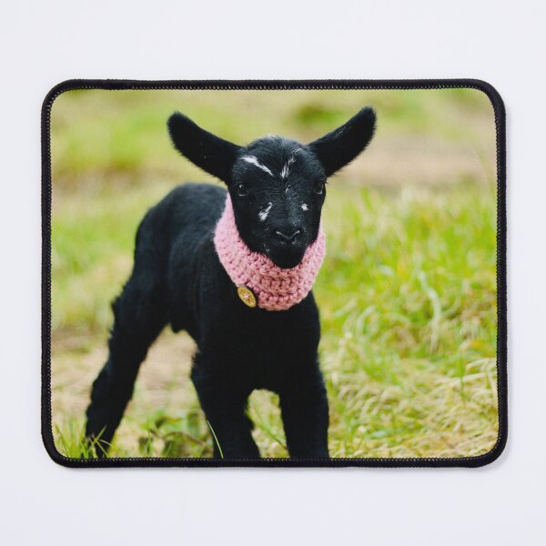 Item preview, Bea the Pet Lamb designed and sold by thegreendogs.