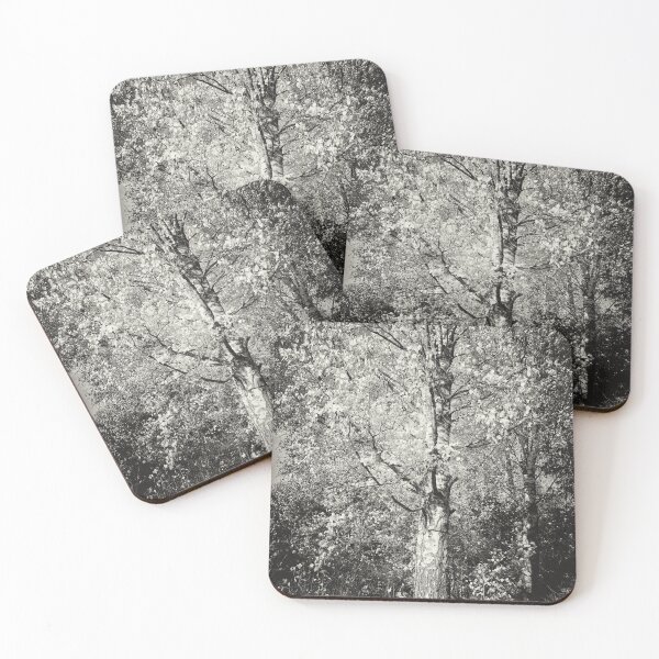 Item preview, The old yellow birch in bw designed and sold by Jouko Lehto Photography.