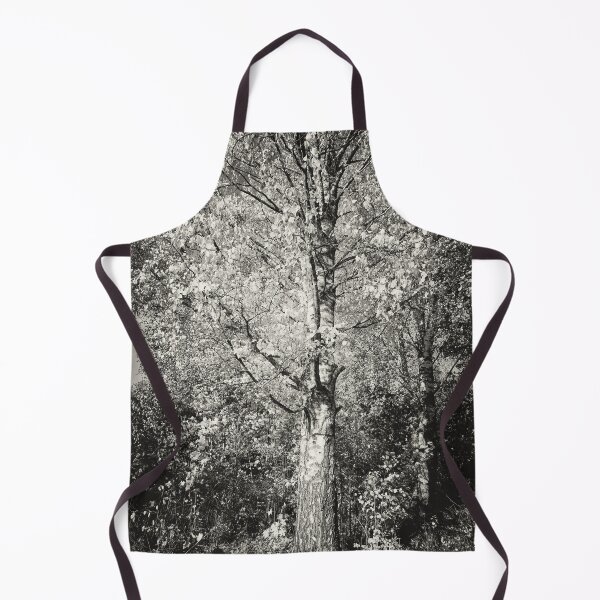 Item preview, The old yellow birch in bw designed and sold by Jouko Lehto Photography.