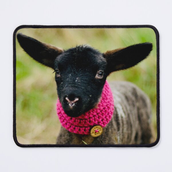 Item preview, Juliet the Pet Lamb designed and sold by thegreendogs.