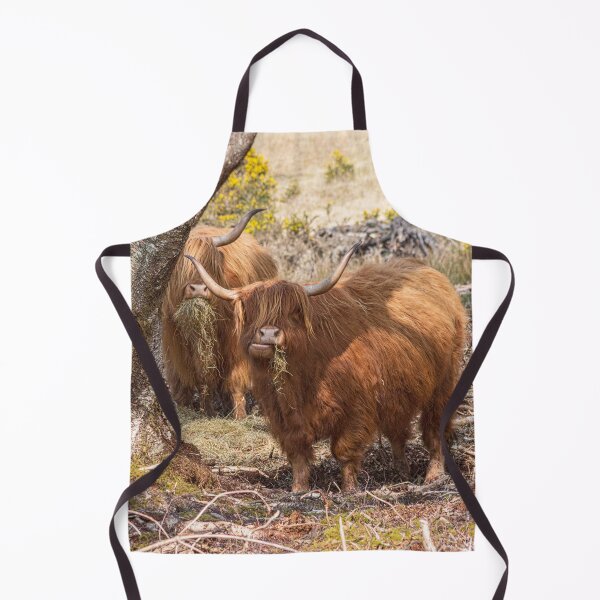 Item preview, Beautiful Highland cows designed and sold by HaleyRedshaw.