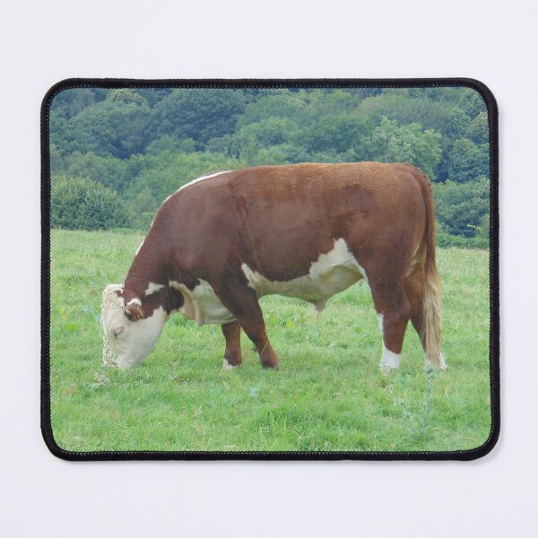 Item preview, Simply a Hereford Grazing  designed and sold by FastRapidash.