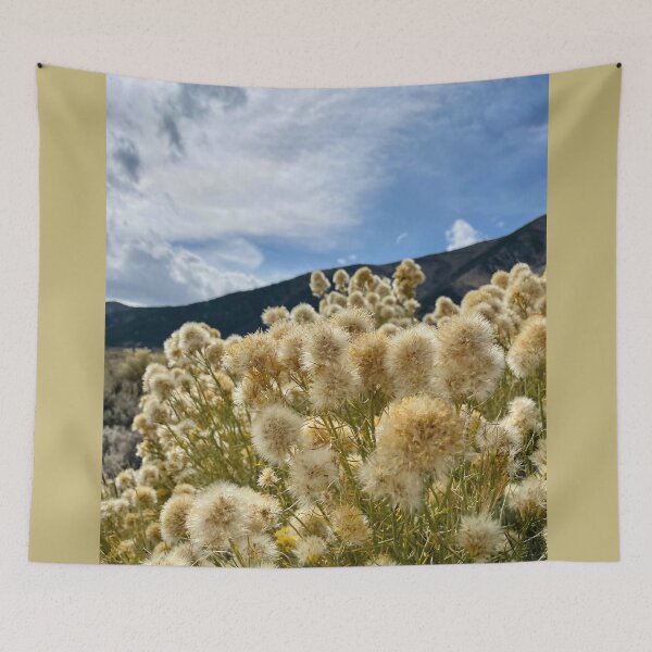 Item preview, Communing with Clouds designed and sold by roadwarriorart.