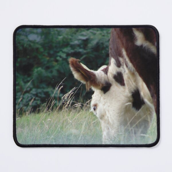 Item preview, Hereford cow grazing grassland designed and sold by FastRapidash.