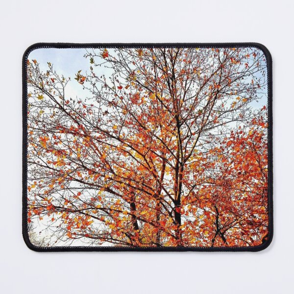 Item preview, Beautiful autumn tree  designed and sold by authenticwords.