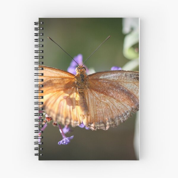 Item preview, Julia Heliconian Dryas Julia designed and sold by Henrik Lehnerer.