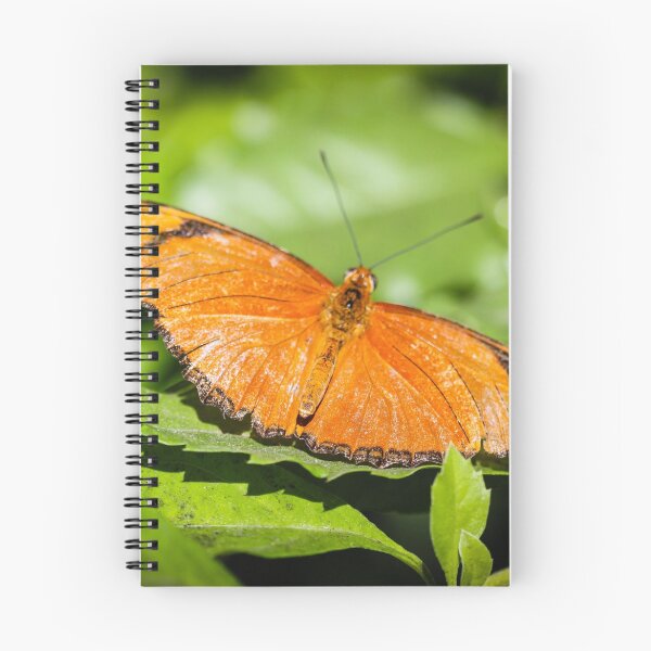 Item preview, Julia Heliconian Dryas Julia designed and sold by Henrik Lehnerer.