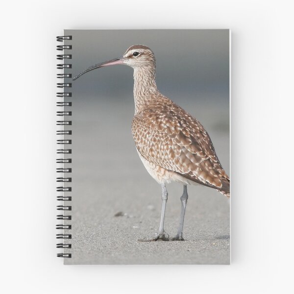 Item preview, Whimbrel designed and sold by adjohnson.