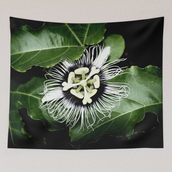 Item preview, Yellow Passion Fruit Flower 2 designed and sold by W E NIXON  PHOTOGRAPHY.