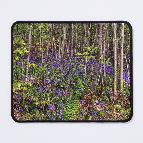 Item preview, Bluebell Wood designed and sold by tomg.