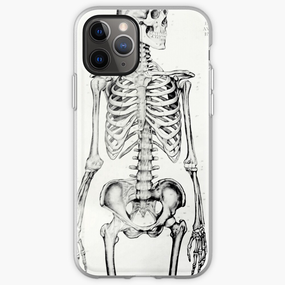 "Skeleton" iPhone Case & Cover by mandybryant Redbubble