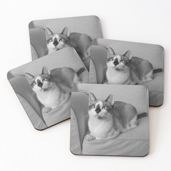 Item preview, Baby Snowshoe Cat on Sofa BW designed and sold by Elisabeth Lucas.
