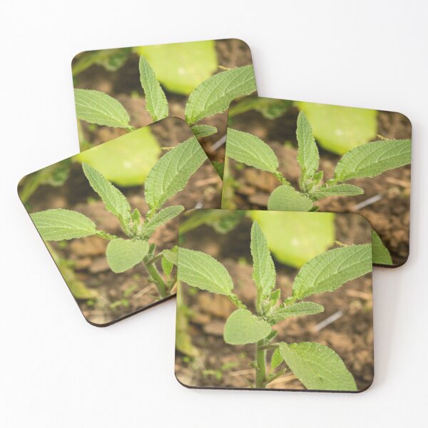 Item preview, slb borage designed and sold by pcfyi.