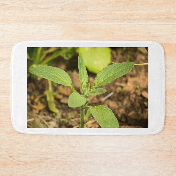 Item preview, slb borage designed and sold by pcfyi.