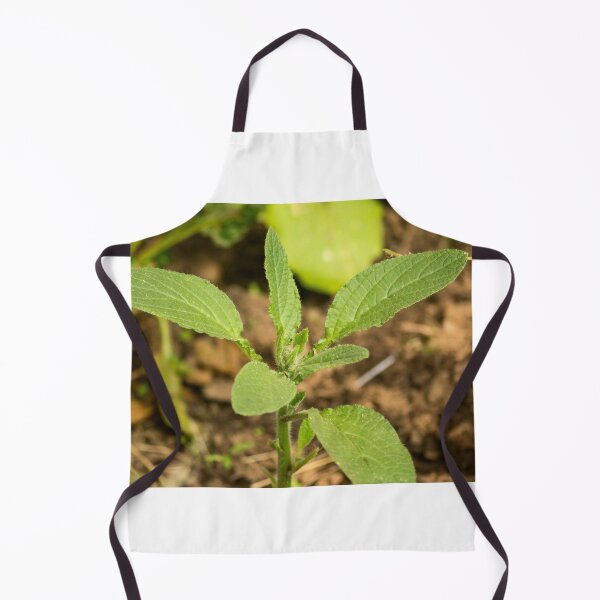 Item preview, slb borage designed and sold by pcfyi.
