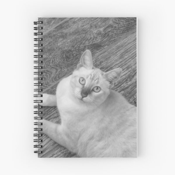 Item preview, Red Point Siamese Cat on Grey Floor BW designed and sold by Elisabeth Lucas.
