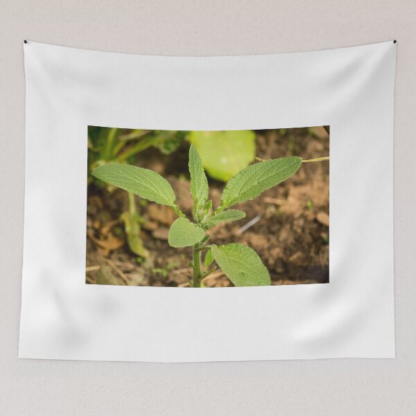 Item preview, slb borage designed and sold by pcfyi.