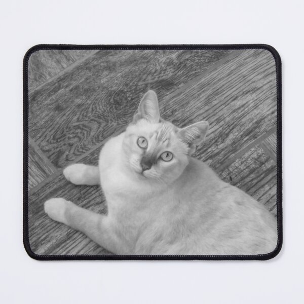 Item preview, Red Point Siamese Cat on Grey Floor BW designed and sold by Elisabeth Lucas.