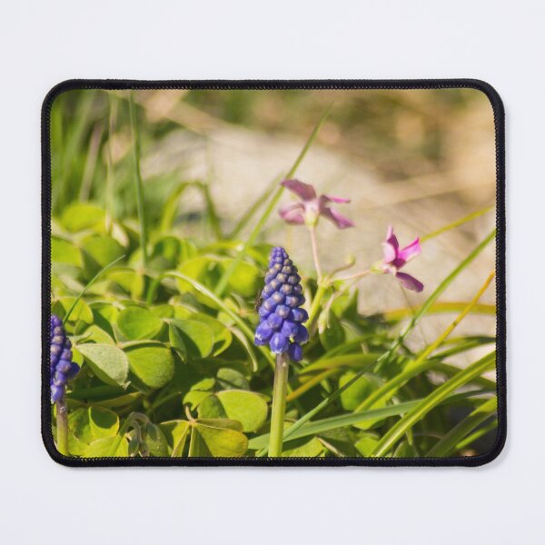 Item preview, slb muscari designed and sold by pcfyi.