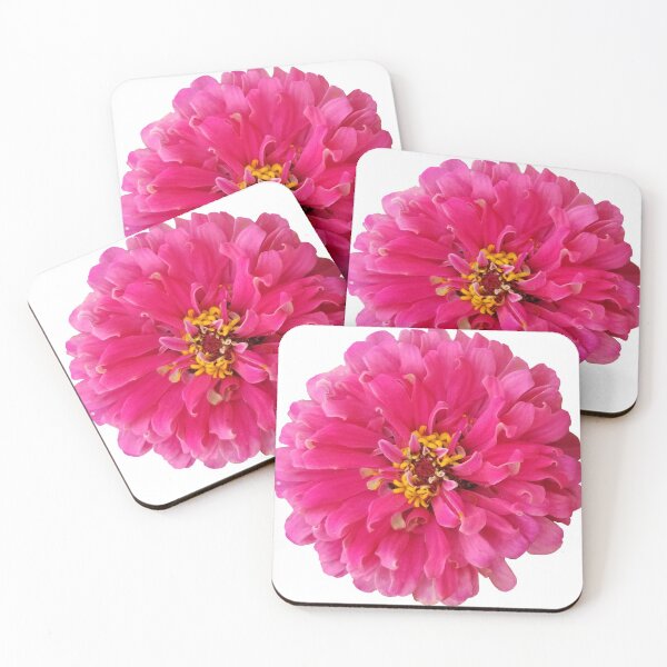 Item preview, Field Guide to Zinnias, No. 1, Illumination Pink designed and sold by Kristi Duggins.