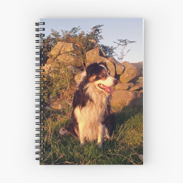 Item preview, Summer Days. designed and sold by Michael Haslam.