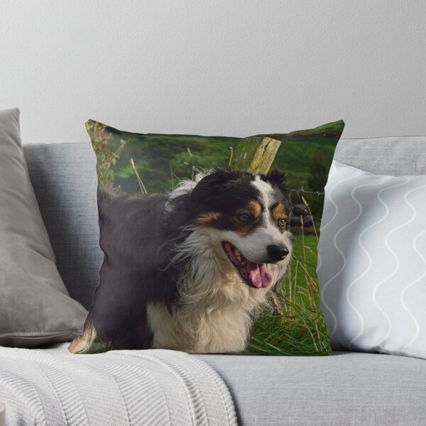 Item preview, Country Life. designed and sold by Michael Haslam.