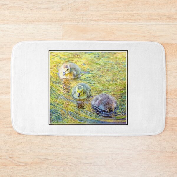 Item preview, Canada Geese Goslings designed and sold by AMacGPhilly.