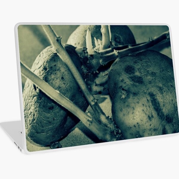 Potalien Laptop Skin